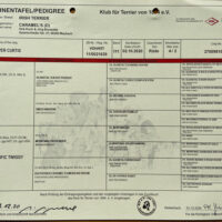 IMG_4869